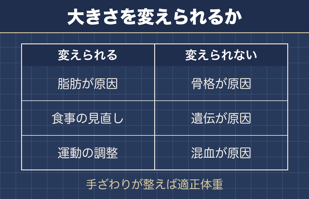 大きいチワワで改善が見込める場合と見込めない場合