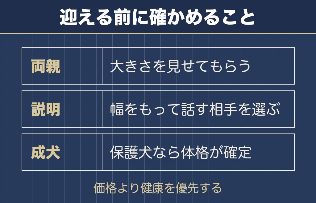 大きいチワワの魅力と迎えるときの選び方
