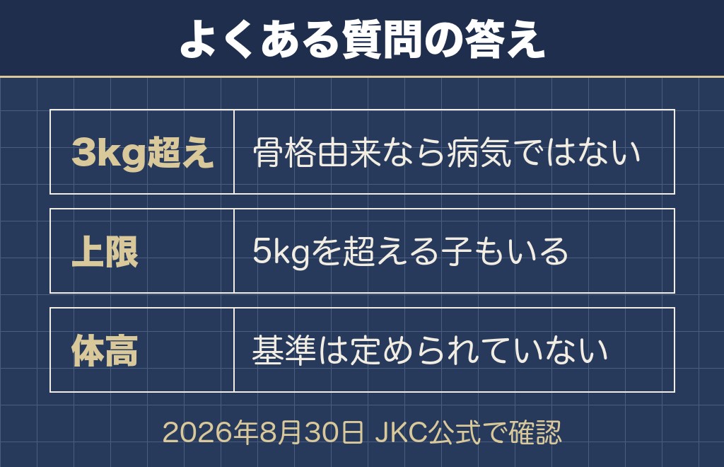 大きいチワワに関するQ&A