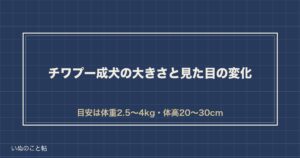 【思っていた顔と違う？】チワプー成犬の大きさ・見た目の変化を数字で整理