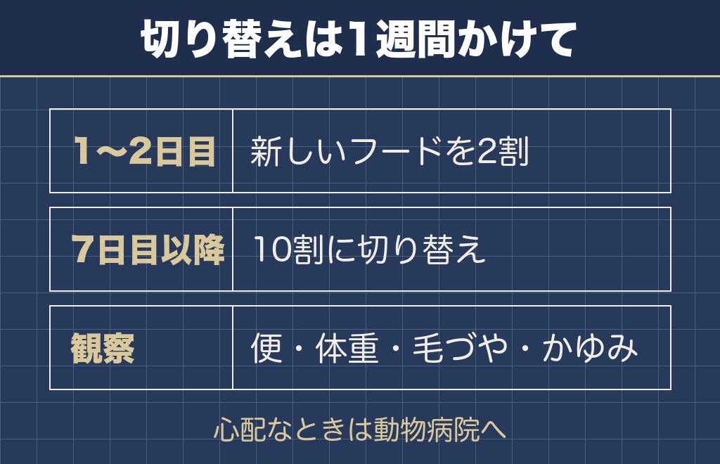 ベストバランスを柴犬に与えるときの手順と観察ポイント