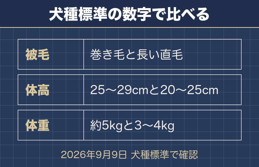 ビションフリーゼとマルチーズの違いは被毛と体格に出る