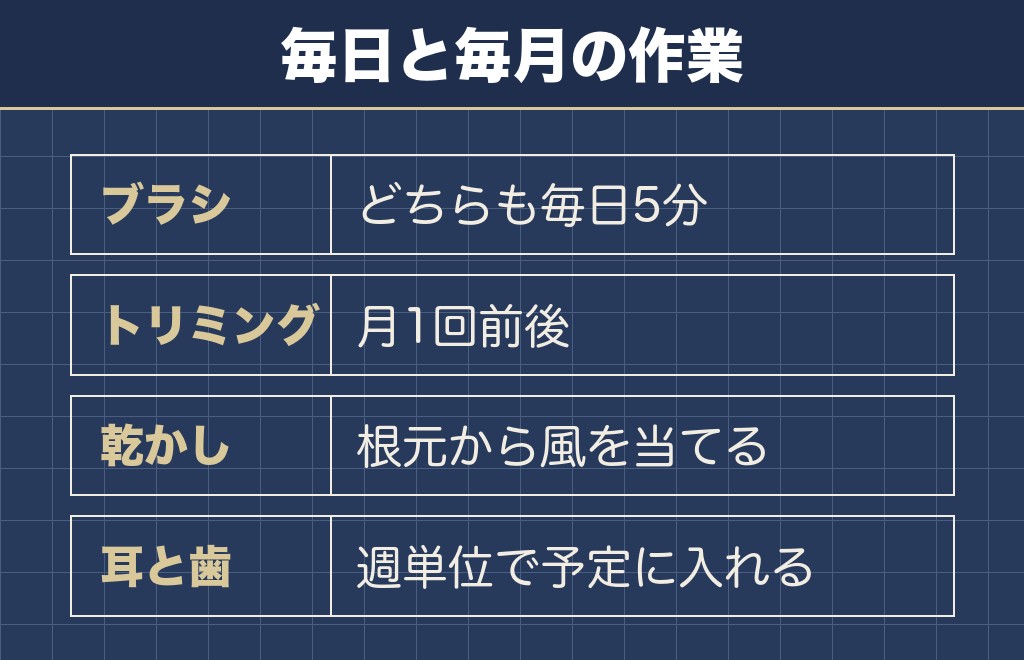 ビションフリーゼとマルチーズのお手入れの違いは毛質から決まる