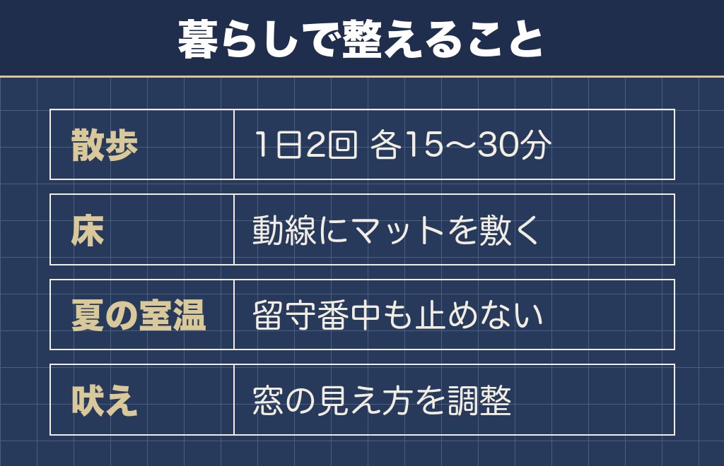 ビションフリーゼとマルチーズの運動量と暮らし方の違い