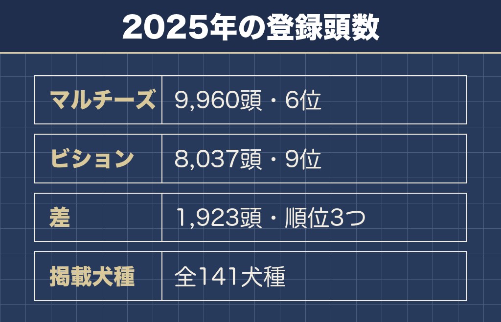 ビションフリーゼとマルチーズの人気は登録頭数で比べられる