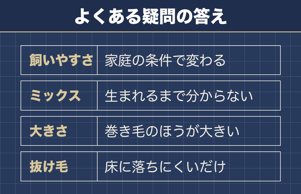 ビションフリーゼとマルチーズの違いに関するQ&A