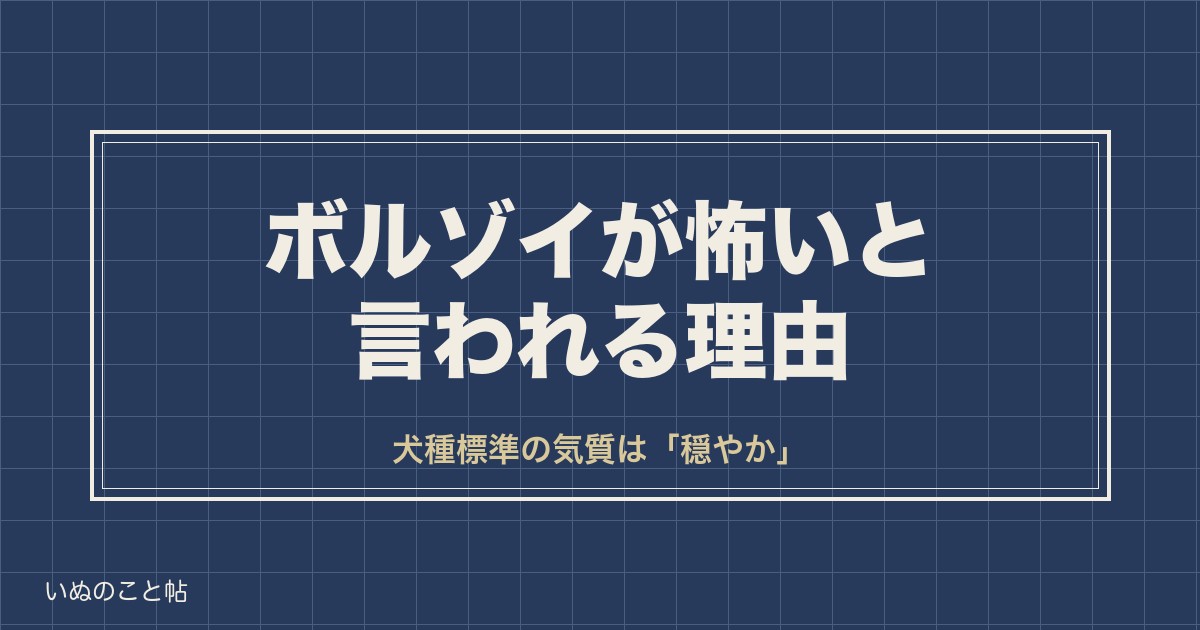 ボルゾイが怖いと言われる4つの理由｜性格や飼い方の注意点も