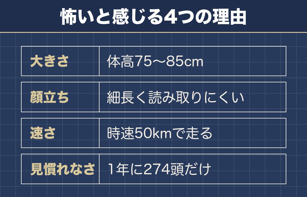ボルゾイが怖いと言われる理由は大きさと見慣れなさにあります