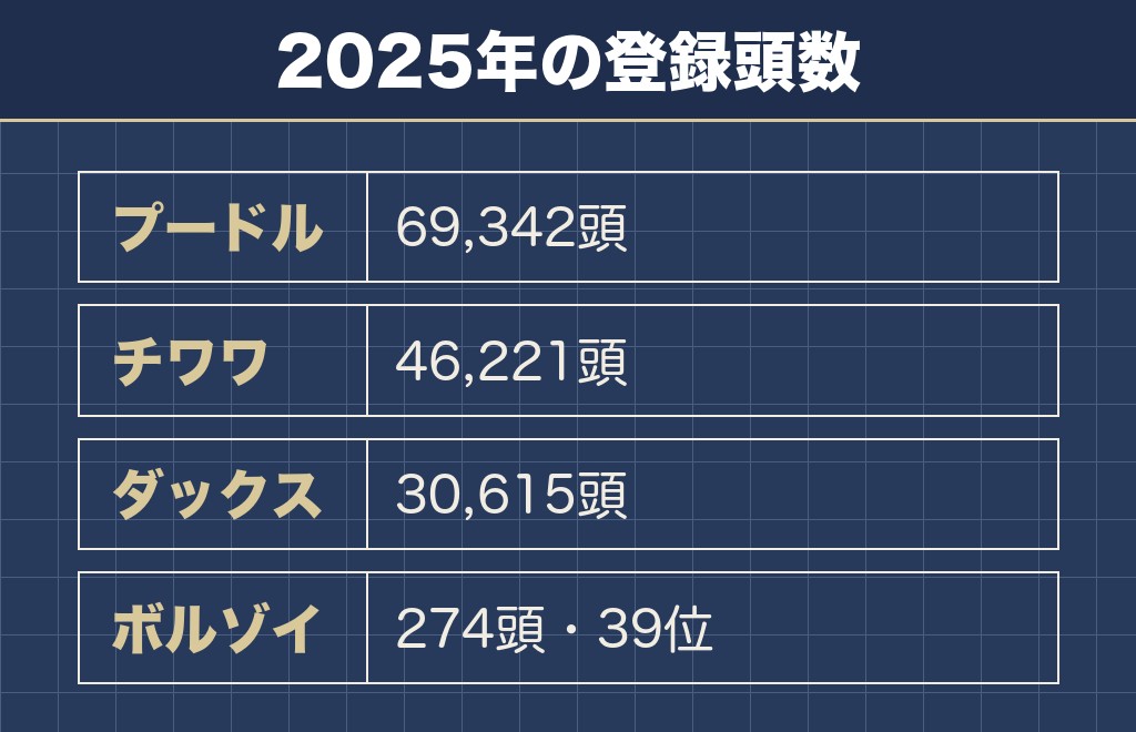 ボルゾイを見かけないのは日本の登録頭数が少ないからです