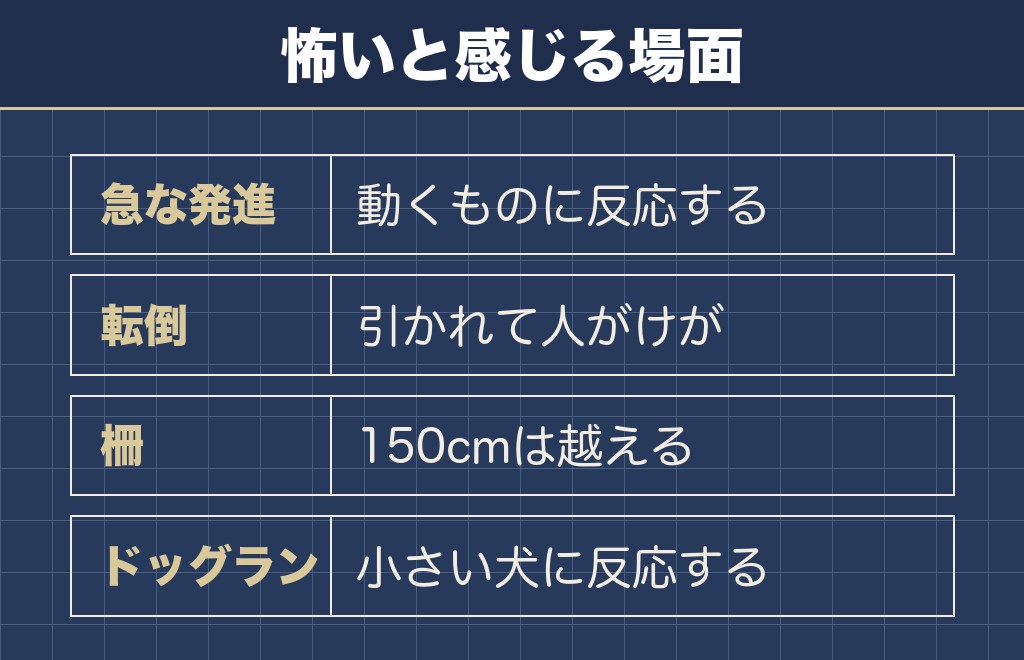 ボルゾイを怖いと感じる場面は散歩中に集中しています