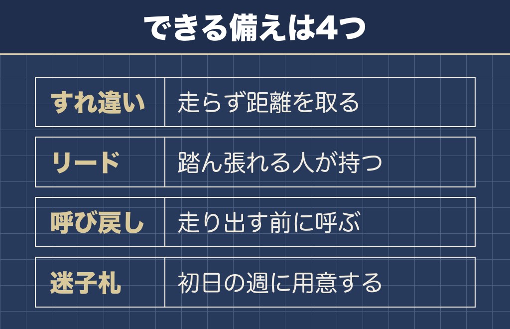 ボルゾイとすれ違うときと飼うときの備えは4つです