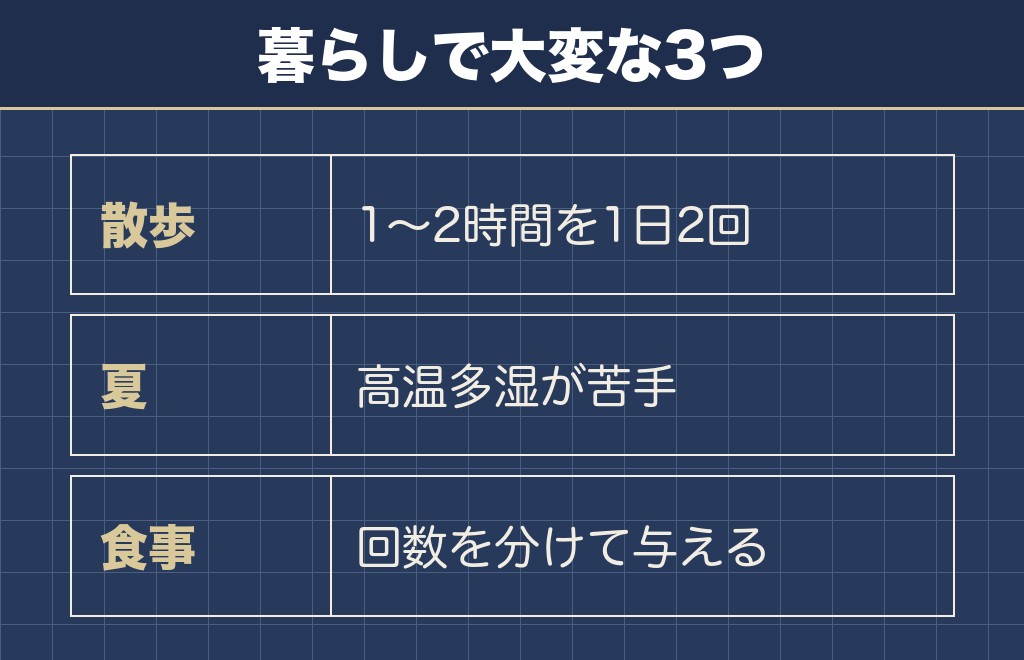ボルゾイと暮らすうえで大変なのは運動量と暑さです