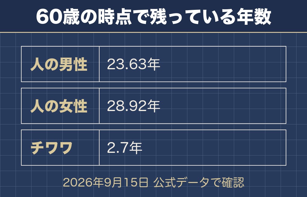 人の60歳とチワワの11歳では残っている時間が違う