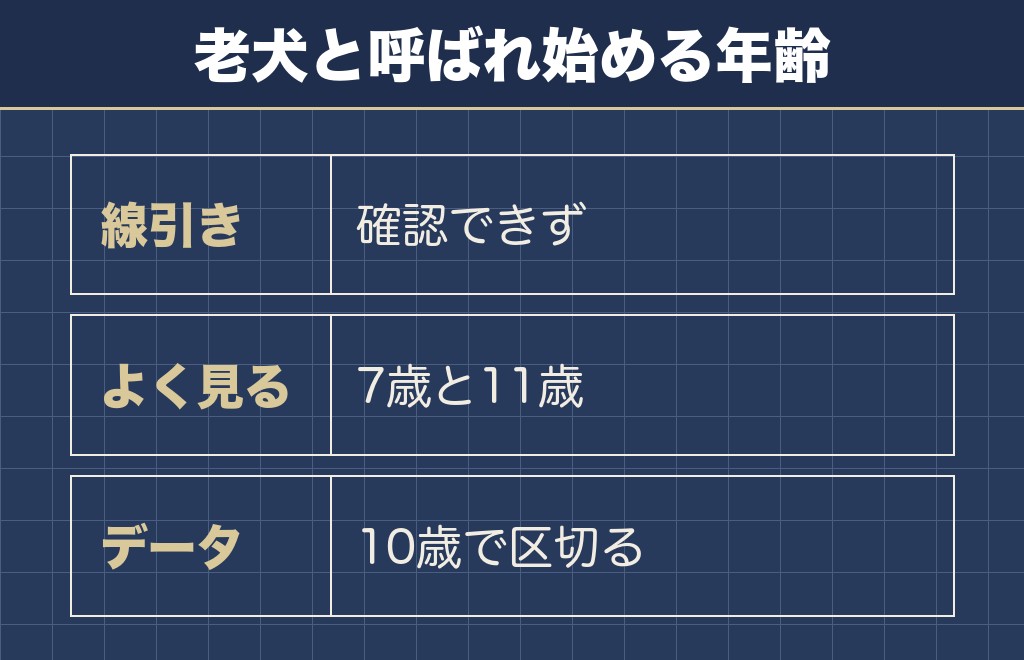 チワワが老犬と呼ばれ始めるのは11歳前後