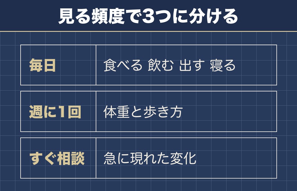 チワワの11歳から増える老化のサインと家での見方
