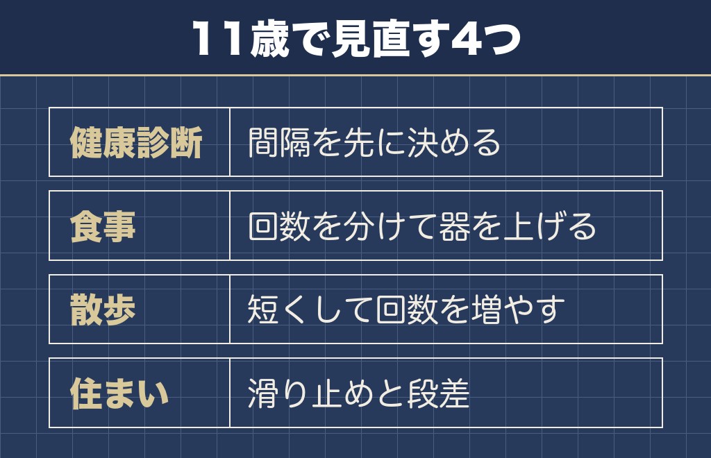 チワワの11歳に合わせて暮らしで変えること