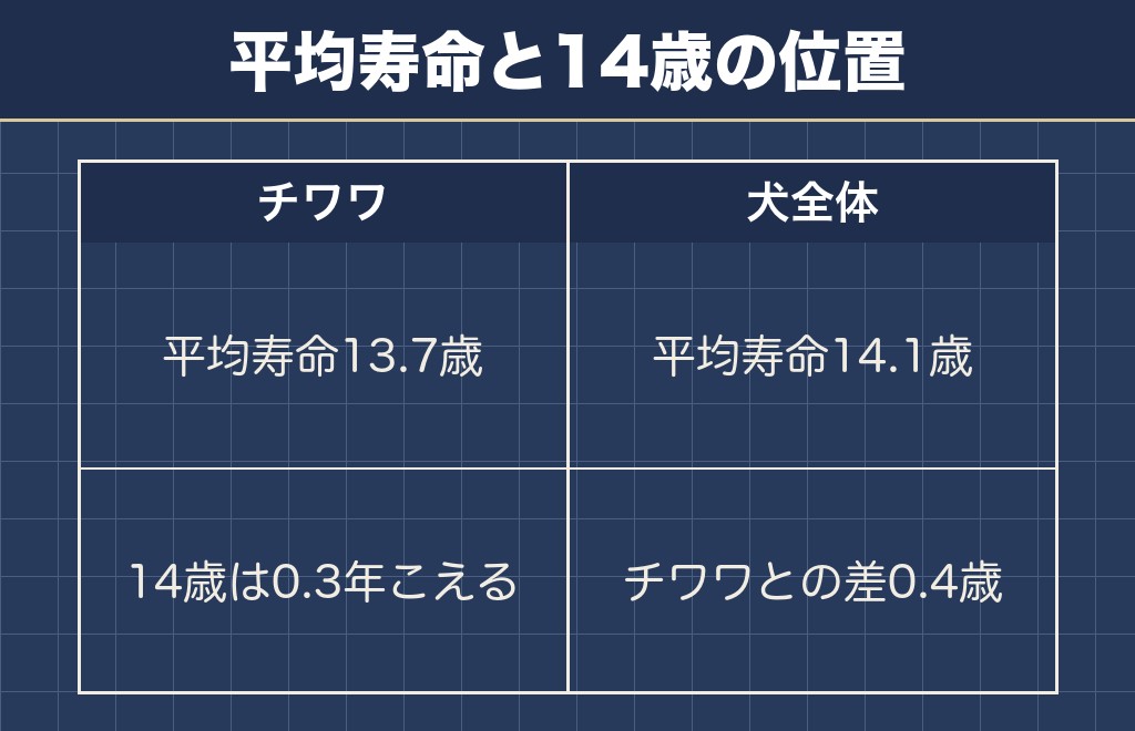 チワワの14歳は平均寿命13.7歳をこえた年齢