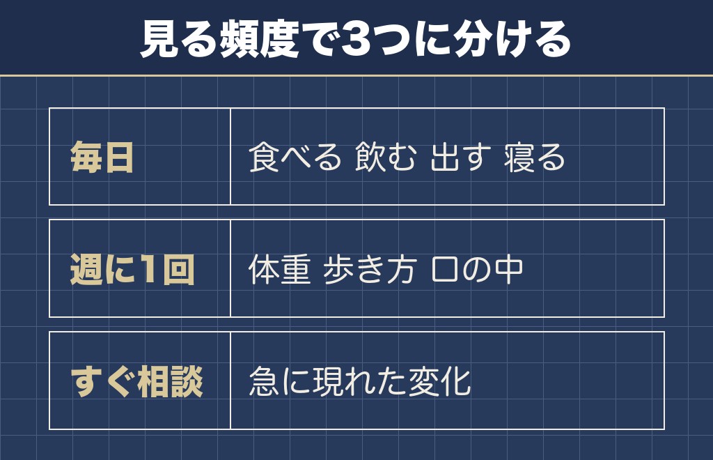 チワワの14歳から家で確かめておきたい体の変化