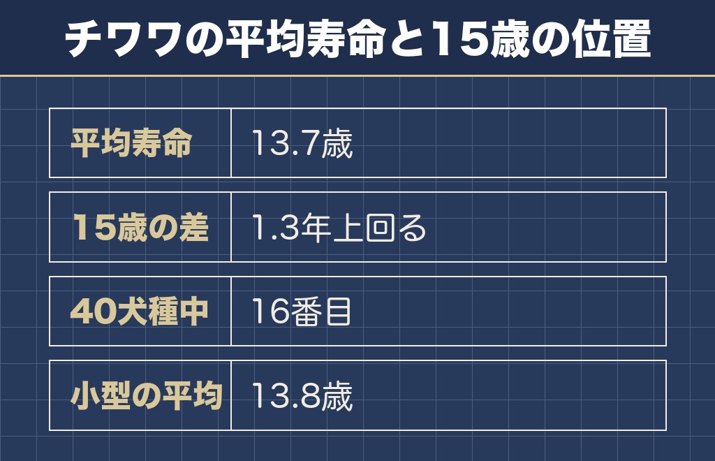 チワワの15歳は平均寿命を1.3年上回っている