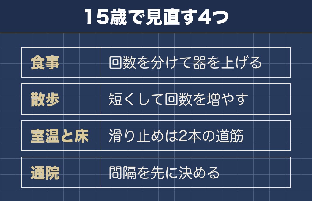 チワワの15歳に合わせて暮らしで変えること
