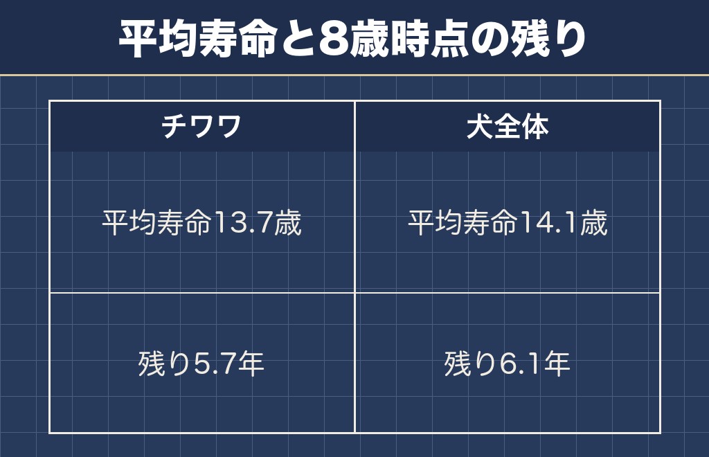 チワワの8歳から平均寿命の13.7歳までは5.7年