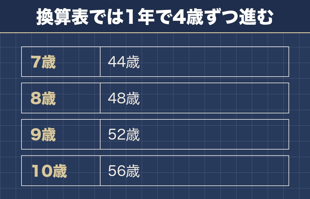 チワワの7歳から10歳までを人間の年齢に並べた表