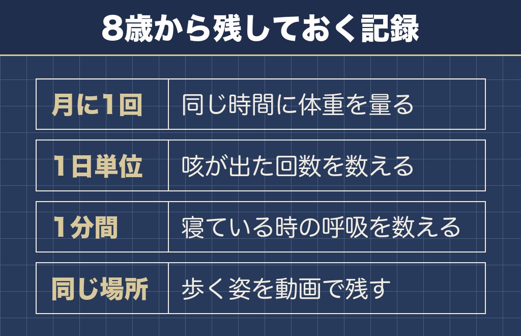 チワワの8歳で家から見ておきたいこと