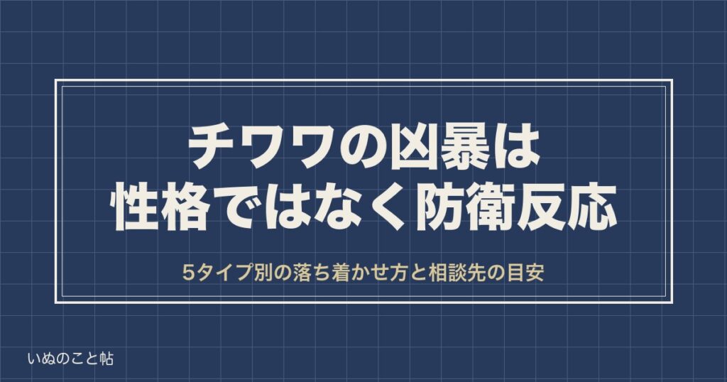 【性格が悪い子なの？】チワワの凶暴は防衛反応｜5タイプ別の落ち着かせ方と相談先
