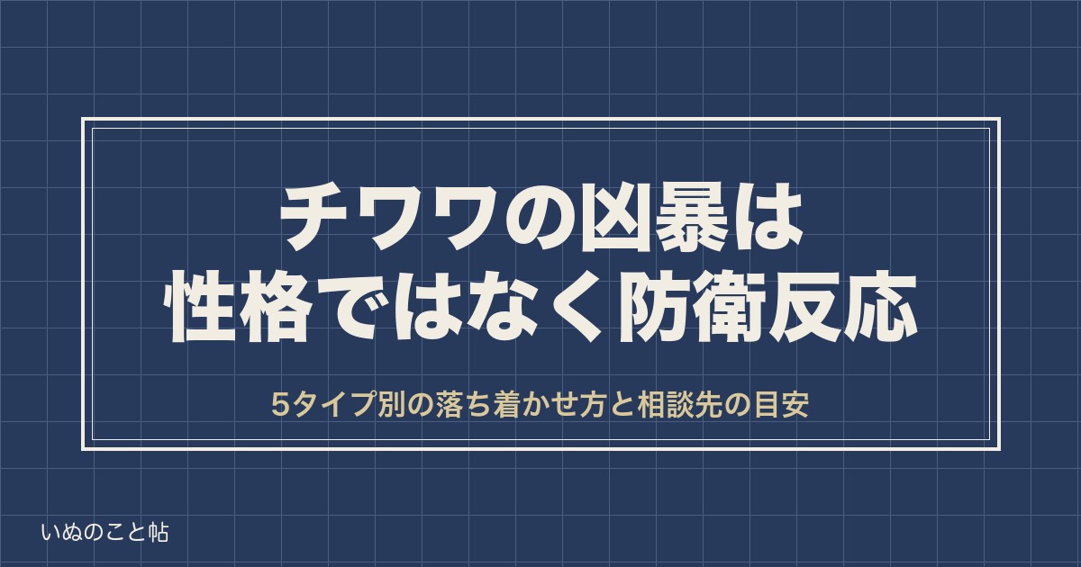 【性格が悪い子なの？】チワワの凶暴は防衛反応｜5タイプ別の落ち着かせ方と相談先