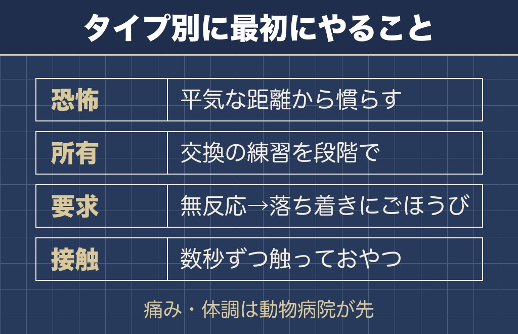 チワワの凶暴をタイプ別に落ち着かせる手順