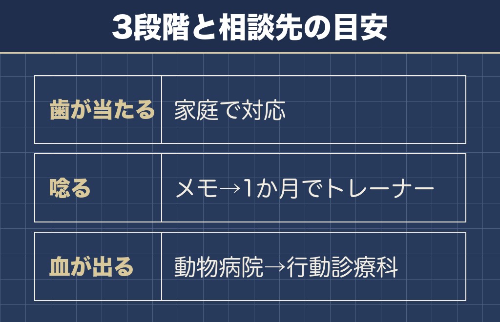 私はこう思います：チワワの凶暴は段階で相談先を決める