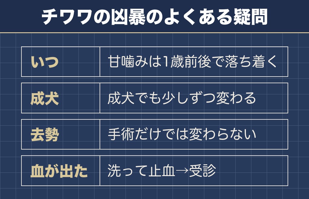 チワワの凶暴に関するQ&A