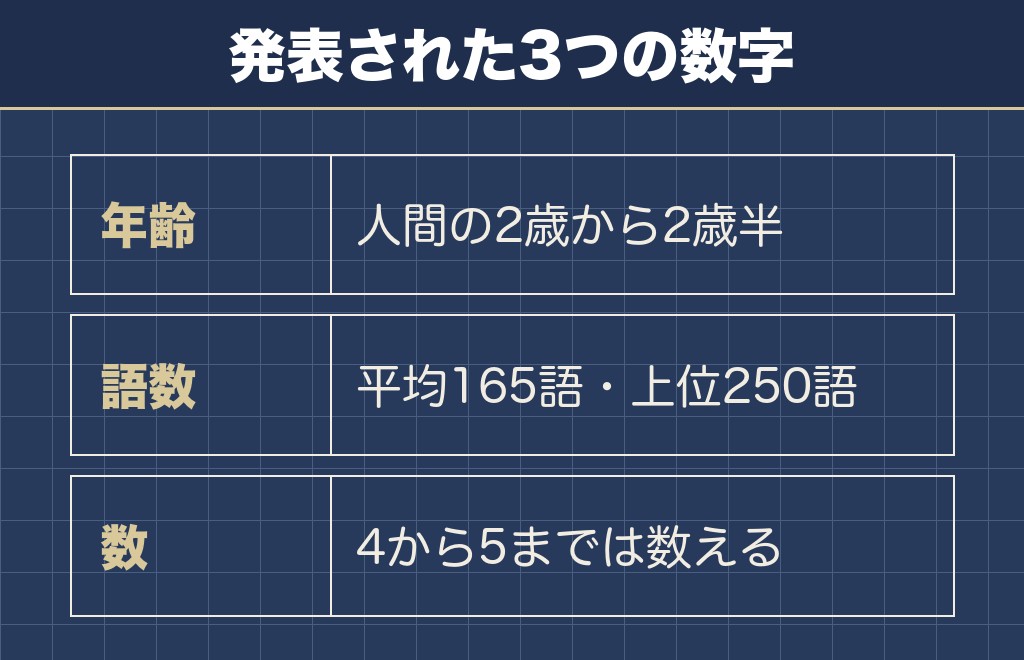 チワワの知能は人間の2歳から2歳半に近い