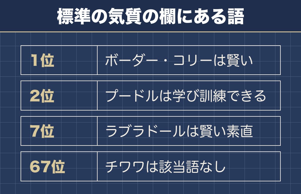 頭がいい犬ランキング上位は働く犬種が占める