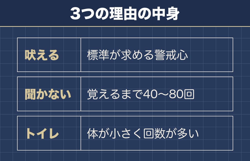 チワワが頭悪いと言われる3つの理由