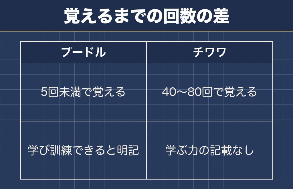 トイプードル・ポメラニアンとチワワの頭の良さ比較