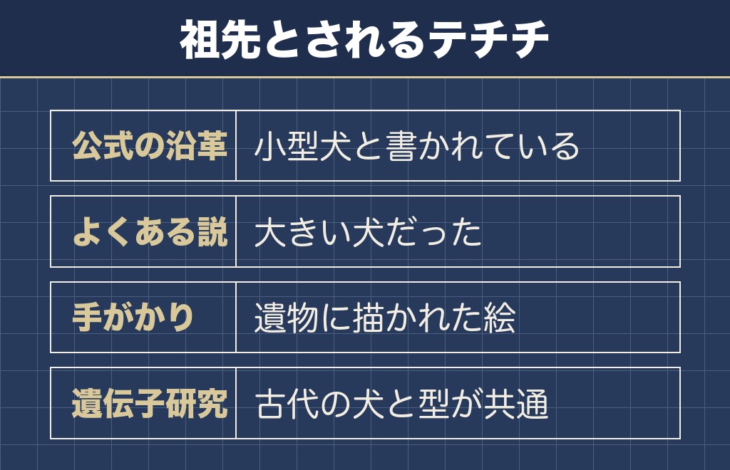 チワワが先祖返りで大きいと言われる理由は祖先のテチチ説