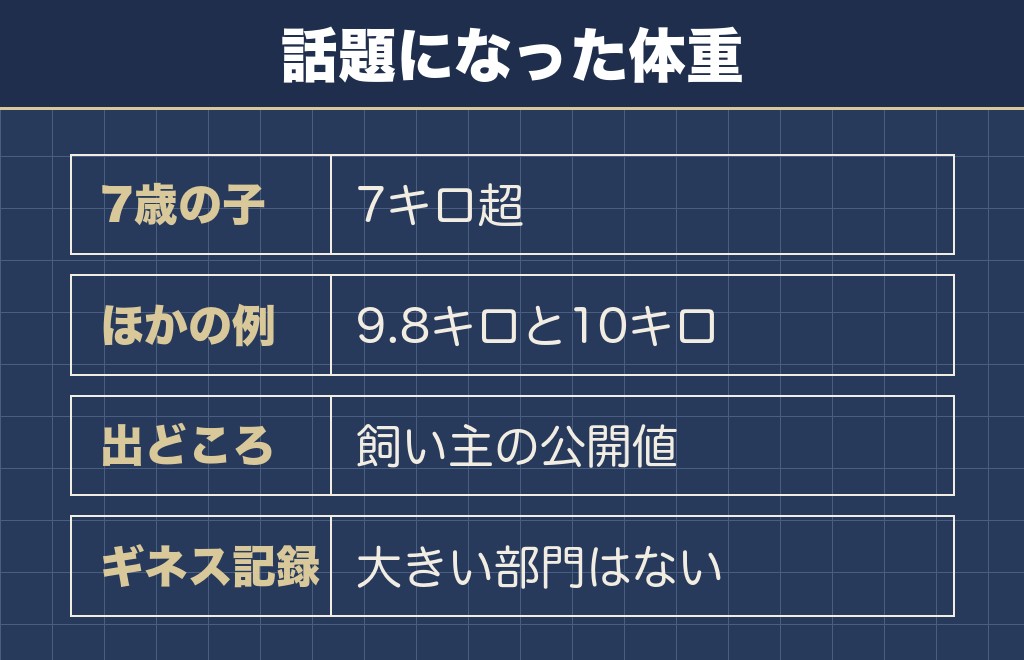 世界一大きいチワワやチワワ10キロの話はどこまで本当か