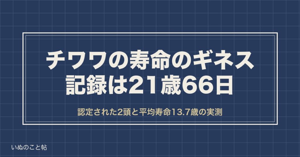 チワワの寿命のギネス記録は21歳66日｜平均寿命と死因も