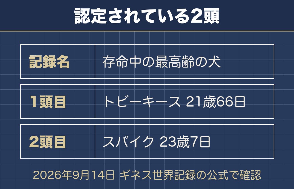 チワワの寿命のギネス記録は21歳66日と23歳7日