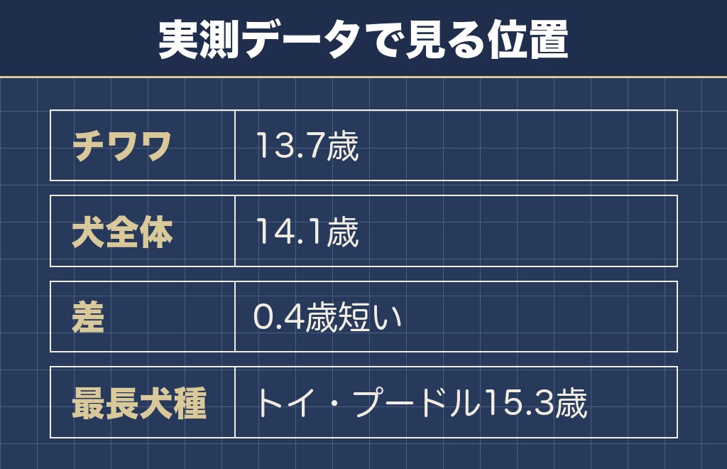 チワワの平均寿命は13.7歳で犬全体より0.4歳短い