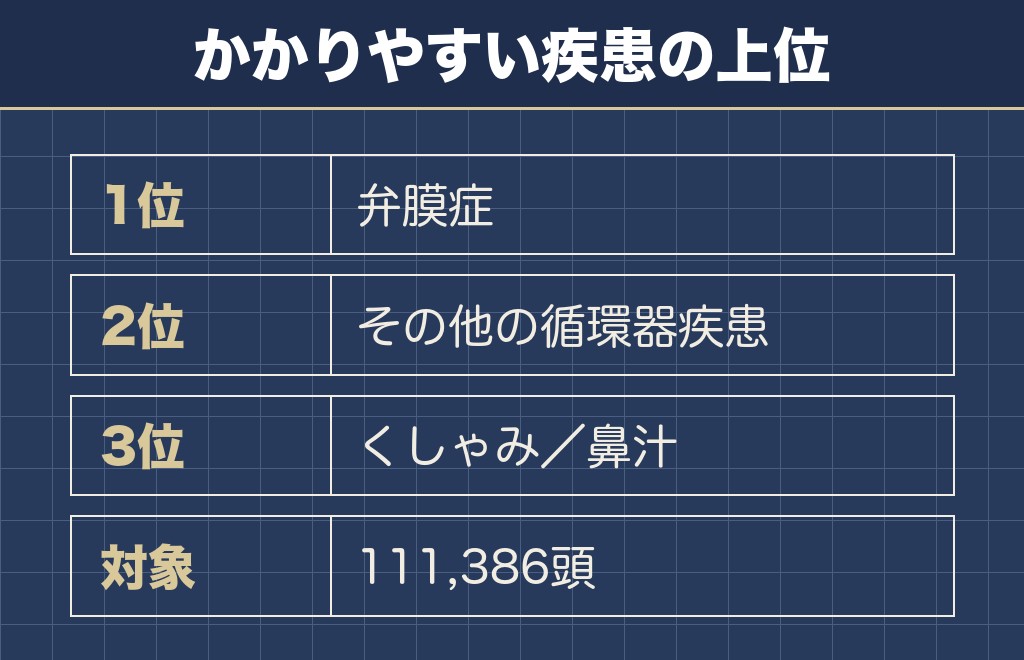 チワワの寿命に関わる死因は心臓の病気が上位