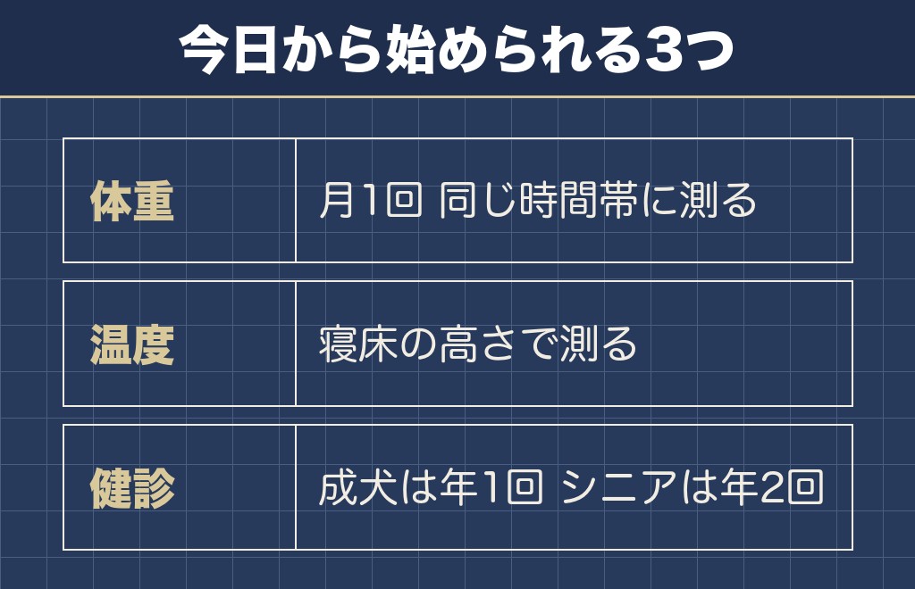 チワワが長生きするために家でできること