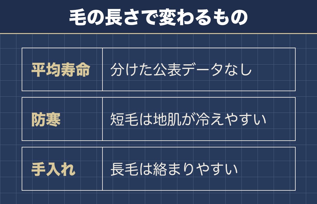 ロングコートとスムースでチワワの寿命に差はあるか