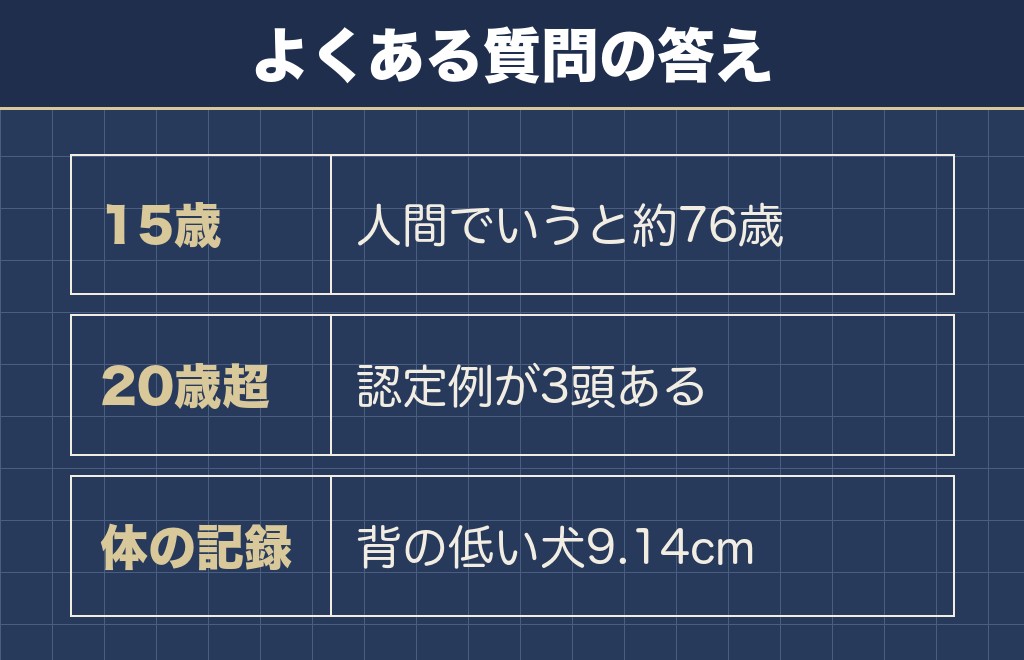 チワワの寿命とギネス記録に関するQ&A