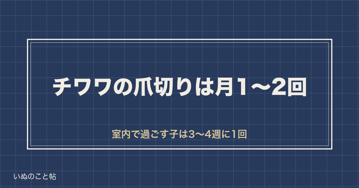 チワワの爪切りの頻度は月1〜2回｜黒い爪をどこまで切るかも