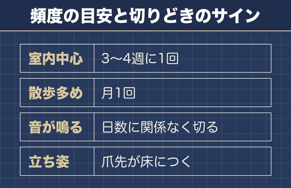 チワワの爪切りの頻度は月に1〜2回が目安