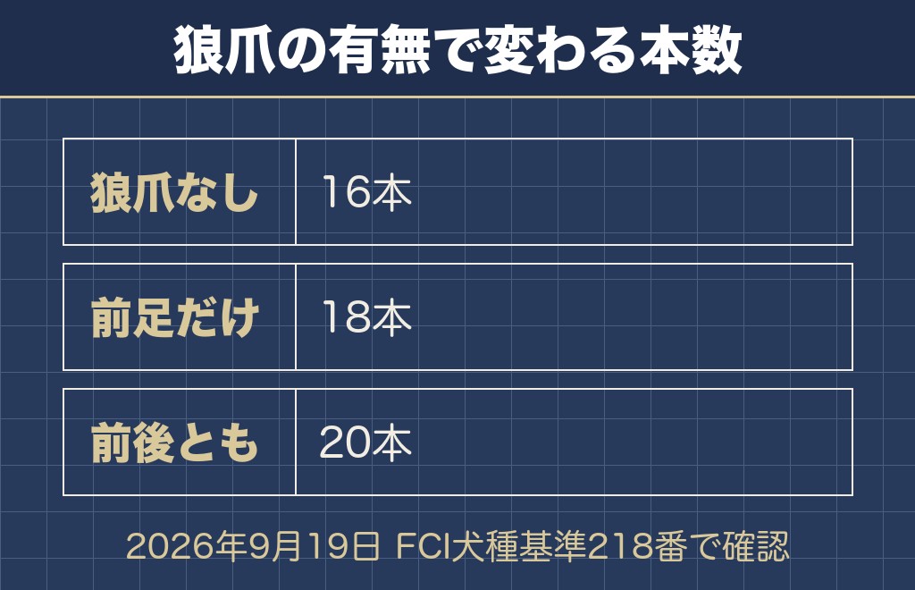 チワワの爪切りで切り忘れやすいのは狼爪