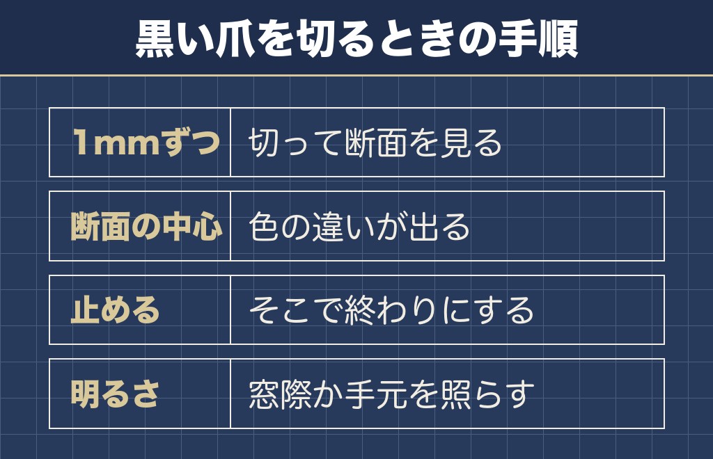 チワワの黒い爪は断面の色で切る位置を決める