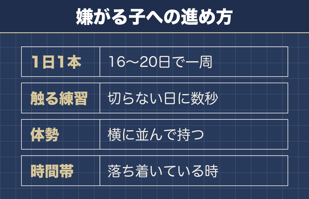 チワワが爪切りを嫌がるときの進め方